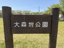77877-1.jpg