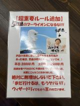 77884-3.jpg