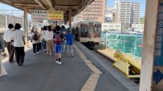 77902-2.jpg