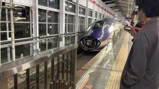77914-1.jpg