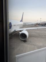 77919-2.jpg