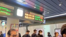 77921-2.jpg