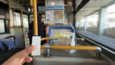 77923-1.jpg