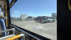 77924-1.jpg