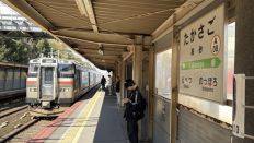 77932-2.jpg