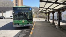 77954.jpg
