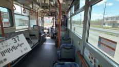 77955-1.jpg