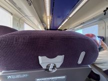 77961-2.jpg