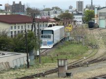 78049-2.jpg