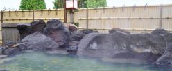 78062-4.jpg
