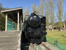 78067-1.jpg