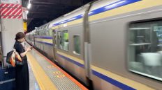 78151-2.jpg