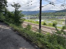 78159.jpg