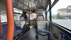 78163-3.jpg