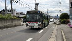 78167-1.jpg