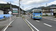 78169.jpg