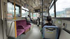 78184-1.jpg