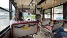 78190-1.jpg