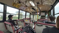 78198-1.jpg