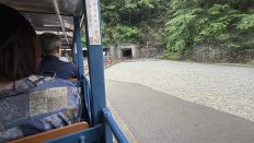 78247-3.jpg