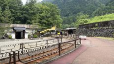 78251-2.jpg