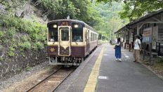 78253-2.jpg