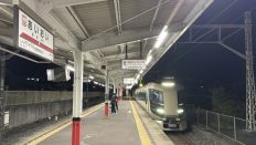 78262-1.jpg