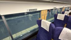 78262-3.jpg