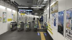 78263-1.jpg