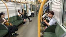 78279-2.jpg