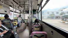 78322-2.jpg