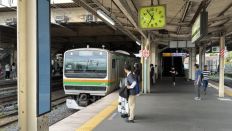 78352-2.jpg