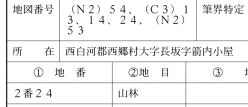 78357-4.jpg
