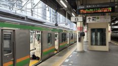 78379.jpg