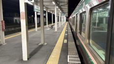 78388.jpg