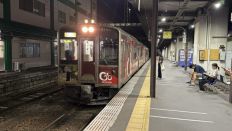 78397-1.jpg