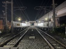 78398-2.jpg