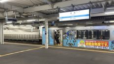 78403.jpg