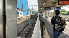 78443.jpg