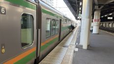 78445.jpg