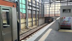 78455.jpg