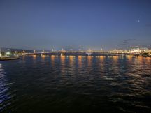 78461-1.jpg