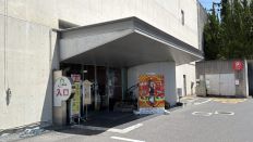 78475-1.jpg