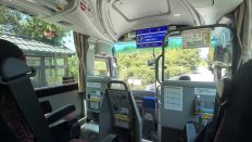 78478-2.jpg