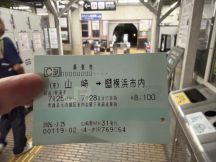78486-4.jpg