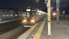 78487-3.jpg