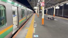 78503-2.jpg