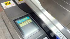 78509-1.jpg