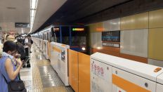 78519.jpg