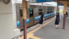78547-1.jpg